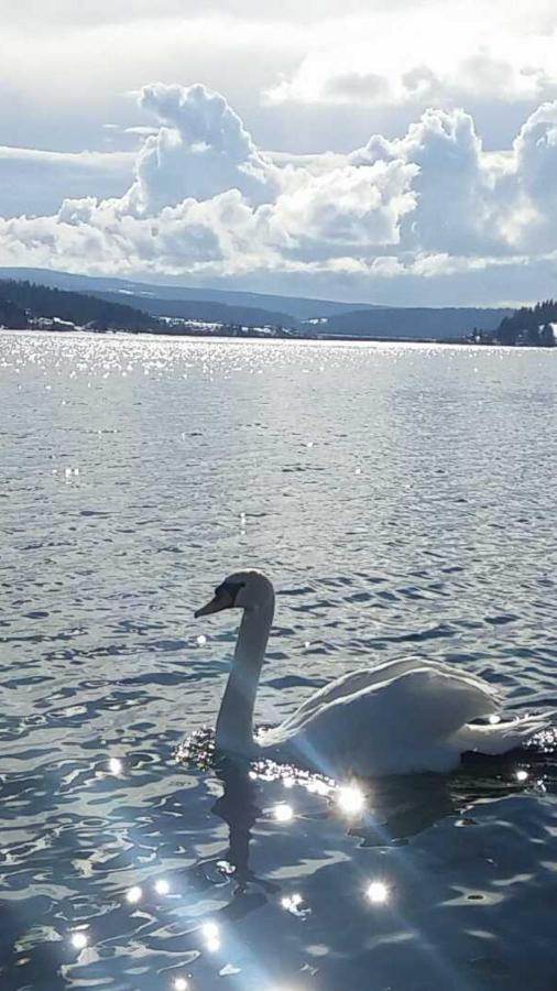 L'Ecrin Du Lac Saint-Point-Lac Kültér fotó